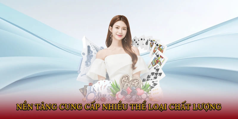Nền tảng cung cấp nhiều thể loại chất lượng